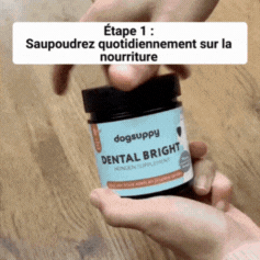 DentÉclat™ | Le Secret Probiotique d'un Sourire Plus Éclatant et Plus Sain.